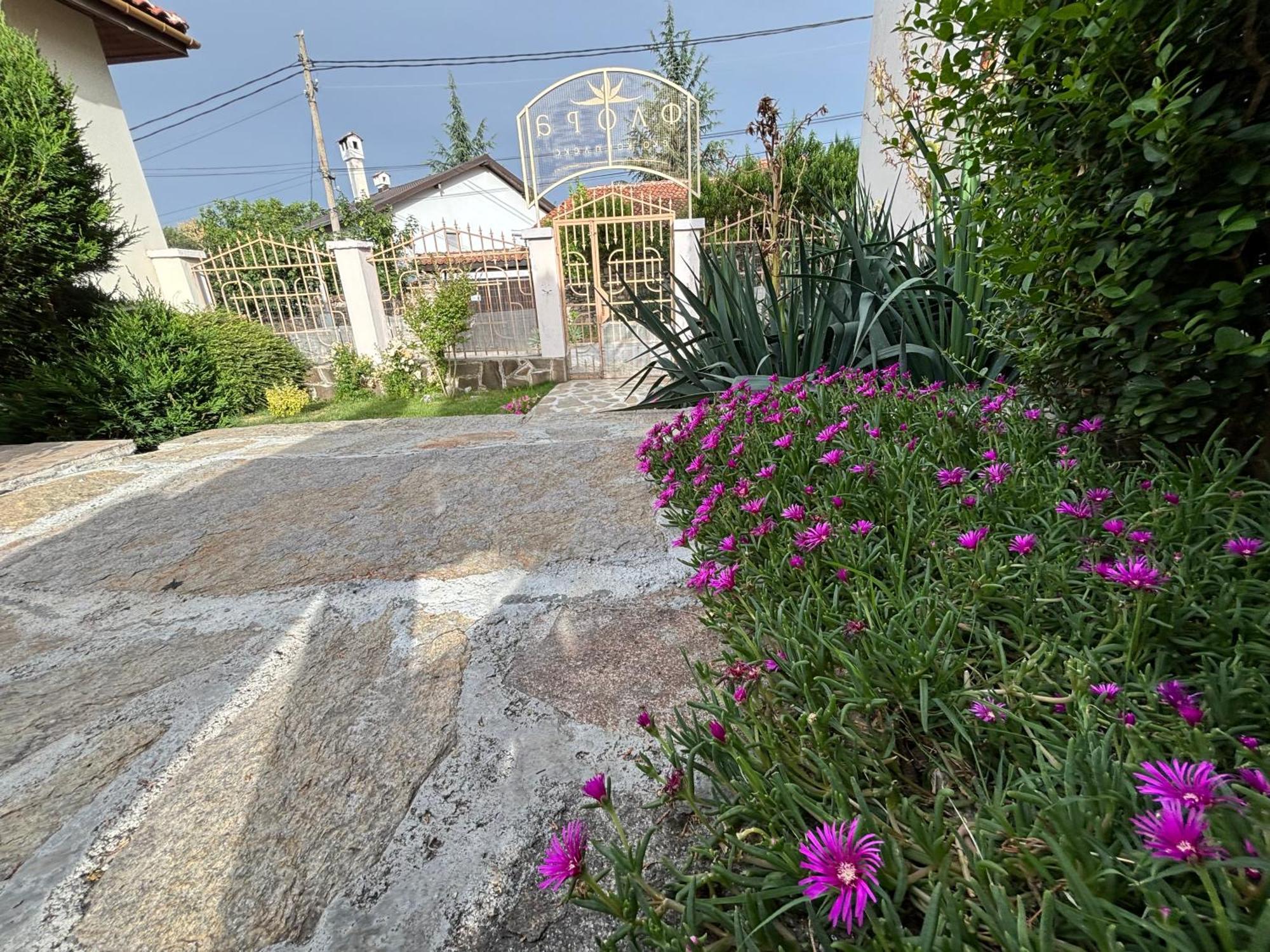 Вила Флора Паталеница Dış mekan fotoğraf